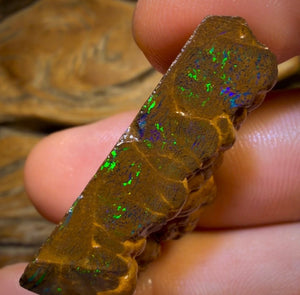 Wildcard! 76.7cts - Australian Boulder Opal Rough Piece. Bubble Band