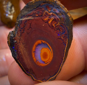 🔒89,1 ct - 5x Yowah Nut Teilkristall-Rohdiamant-Paket zum Schnäppchenpreis!