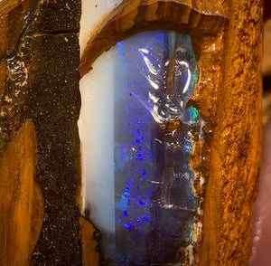 859cts - Pair of Queensland BoulderNatural Split Opal Rough Pieces