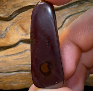 71.4cts - Tribal Koroit Nut Opal - Opal Whisperers