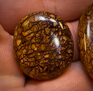 64.5cts - Loose Queensland Boulder Opal Set