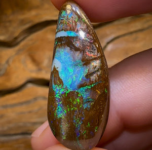 32.5cts - Magnificent Wood Fossil Opal from Yowah - Opal Whisperers