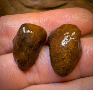 37.9cts - Yowah Nut Partial Crystal Centre Rough Specimen Pair