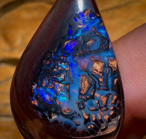 50.6cts - “Deep Blue Tribal”Koroit Nut Kernel Opal