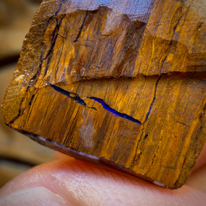 58.5cts - Opalised Wood/Vegetation Fossil Rough Pair from Yowah