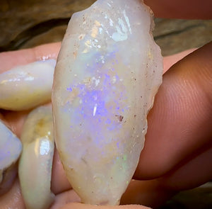 71.4cts - 4x Opalised Shell Geological Specimens from South Australia - Opal Whisperers