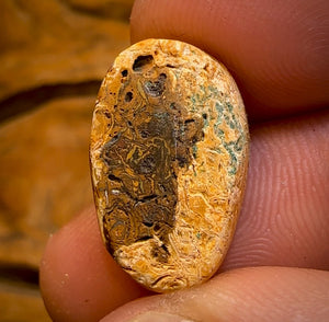 13.6cts - RARE Yowah Nut Crystal Centre Opal Rub Featured on “Outback Opal Hunters”!