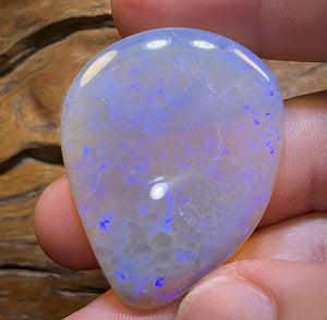 61.2cts - HUGE GEM Lightning Ridge Crystal Opal. Heritage Collection - Opal Whisperers