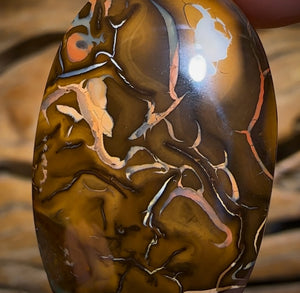 60.1cts - Big Queensland Boulder Opal. Yowah Tribal