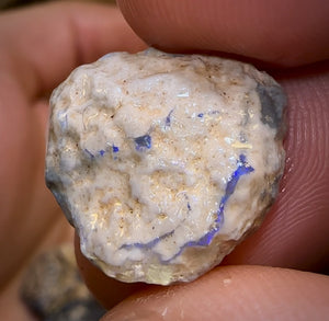 278.7cts - 36x Lightning Ridge Opal Rough Parcel. Potch and Colour