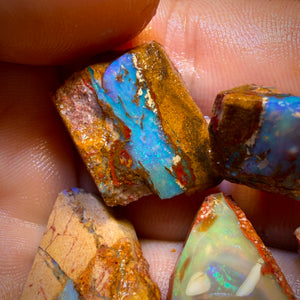 127.1cts - 6x Queensland Boulder Pipe Opal Rough Pieces