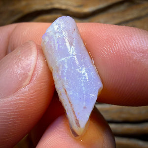 30.7cts - 3x Opalised Belemnite Geological Specimens from South Australia
