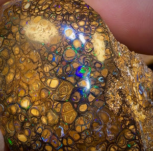 322.1cts - Rare Polished Tribal Yowah Nut Opal Geological Specimen with Gypsum