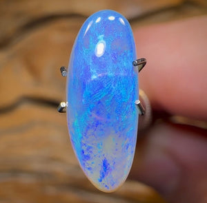 2.9cts -“Little Boy Blue” Lightning Ridge Crystal Opal - Opal Whisperers