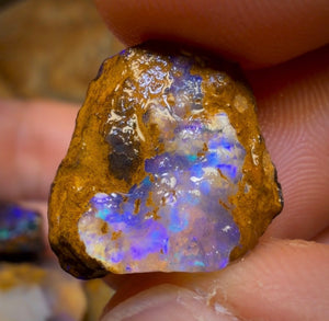 đ183,2 ct â 6x Rohopal aus Yowah-Nuss. Australischer Boulder-Opal.