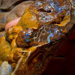 Dad Card! 1110cts - Large Queensland Boulder Opal Rough Piece. Bubble Band