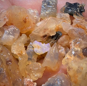 🔨 AUCTION 🔨 145.9cts - 50x Opalised Fossil Geological Specimens from Lightning Ridge