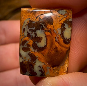 25.6cts - Cool Pattern Queensland Boulder Opal Set