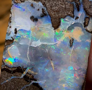 71cts - Queensland Boulder Seam Opal Red Multicolour - Opal Whisperers