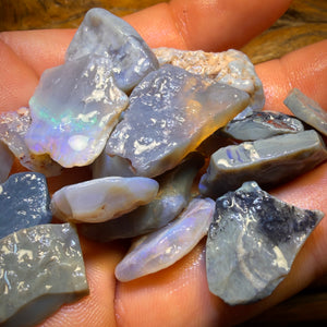 215cts - 19x Lightning Ridge Opal Rough Parcel. Practice Potch