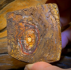 617.5cts - Tan Tribal Queensland Boulder Opal. Polished Specimen