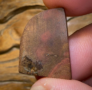 21.2cts - Australian Boulder Wood Cathedral Fossil Replacement Opal. ISAAC’S CUT - Opal Whisperers