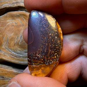 79.8cts - “Gold Finger” Yowah Nut Opal. Natural Split