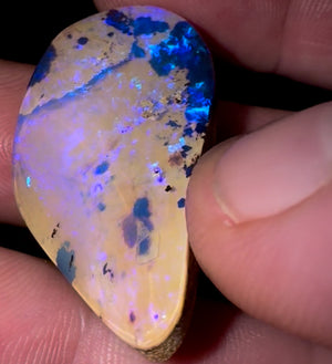 43.80cts - Big Reef Pattern Solid Boulder Pipe Opal - Opal Whisperers