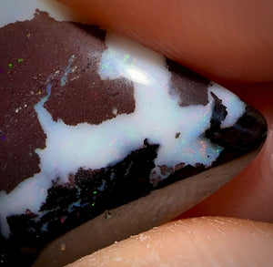46.7cts - 5x Tribal Koroit Nut Opals BLACK IRONSTONE. Australian Opal Parcel - Opal Whisperers
