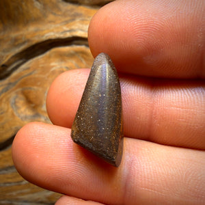 17.9cts - watch video see flash Large Australian Boulder Seam Opal