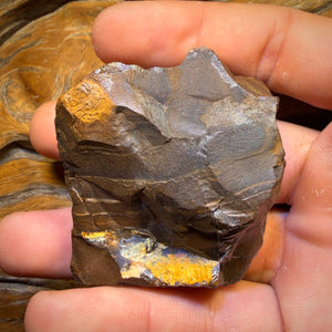 554 cts - Ébauche d'opale brute de Boulder Seam du Queensland