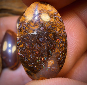 134.2cts - 5x Australian Boulder Opal’s. Wholesale Dealers Parcel