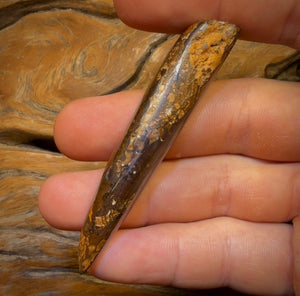 96.2cts - “Adams Rib”GEM Fossil Crystal Opal. Isaac’s Cut!