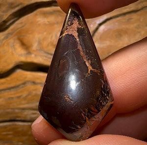 44,3 carats - Opale Boulder tribale du Queensland de Koroit