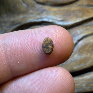 📣 OPALFEST 🔨 AUCTION 🔨 No Reserve 0.4cts - Australian Boulder Opal Doublet