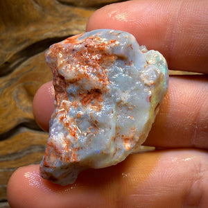 Wild Card! 69.9cts - Lightning Ridge Dark Opal Rough Piece