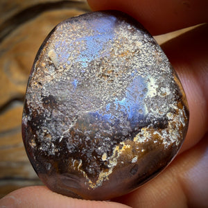 🔨 AUCTION 🔨 50.2cts - Yowah Nut Partial Crystal Centre Opal. Australian Boulder Opal