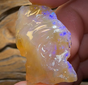 (Template) 50cts - Top Large Lightning Ridge Crystal Opal Rough Piece - Opal Whisperers