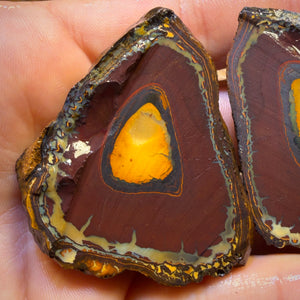 Roadshow Wildcard! 422cts - RARE Yowah Nut Kernel Opal Rough Specimen Pair