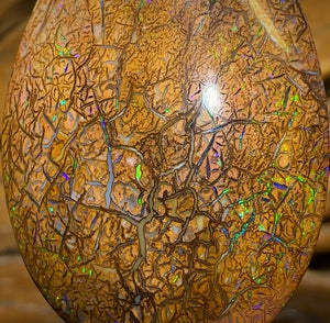61.7cts - Tight Tan Tribal Yowah Nut Opal. Australian Opal