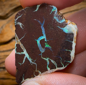 79cts - Australian Boulder Opal Rough Piece. Natural Split - Opal Whisperers