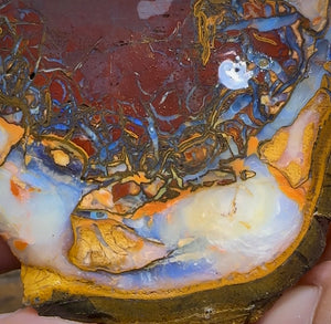 (Template) 477.8cts - Yowah Nut Rough Half. Australian Opal - Opal Whisperers