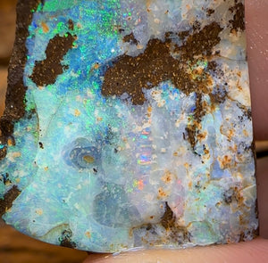 92.4cts - Large Australian Boulder Opal Rough Preform. Natural Split - Opal Whisperers