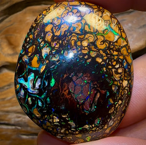 258.1cts - “Crazy Eyes” Top Tribal Yowah Nut Opal Pair. Double Sided