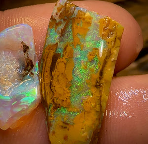 Cut or Carve Combo 12.1cts - Yowah Nut Crystal Centre and Opal Wood Rough Pair