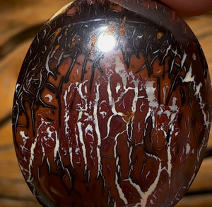 45.3cts - Queensland Boulder Opal from Koroit