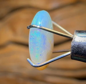 1.5cts - Lightning Ridge Crystal Opal - Opal Whisperers