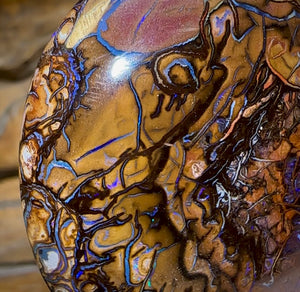 156.7cts - Large Yowah Nut Tribal Opal - Opal Whisperers