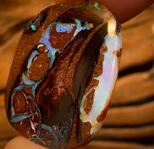 16.4cts - Tribal Queensland Boulder Opal