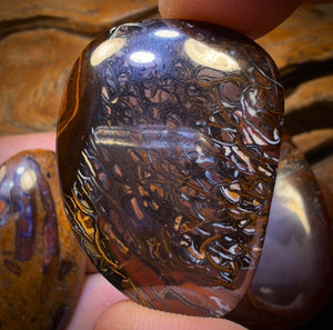 295.1cts - 3x Australian Tribal Boulder Opal’s. Wholesale Dealers Parcel $0.50c/ct